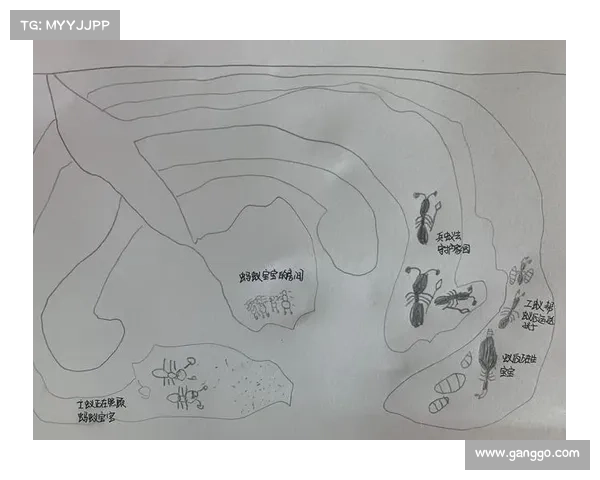 蚁后之巢,扭转乾坤,君临天下 蚁后之巢,扭转乾坤,君临天下